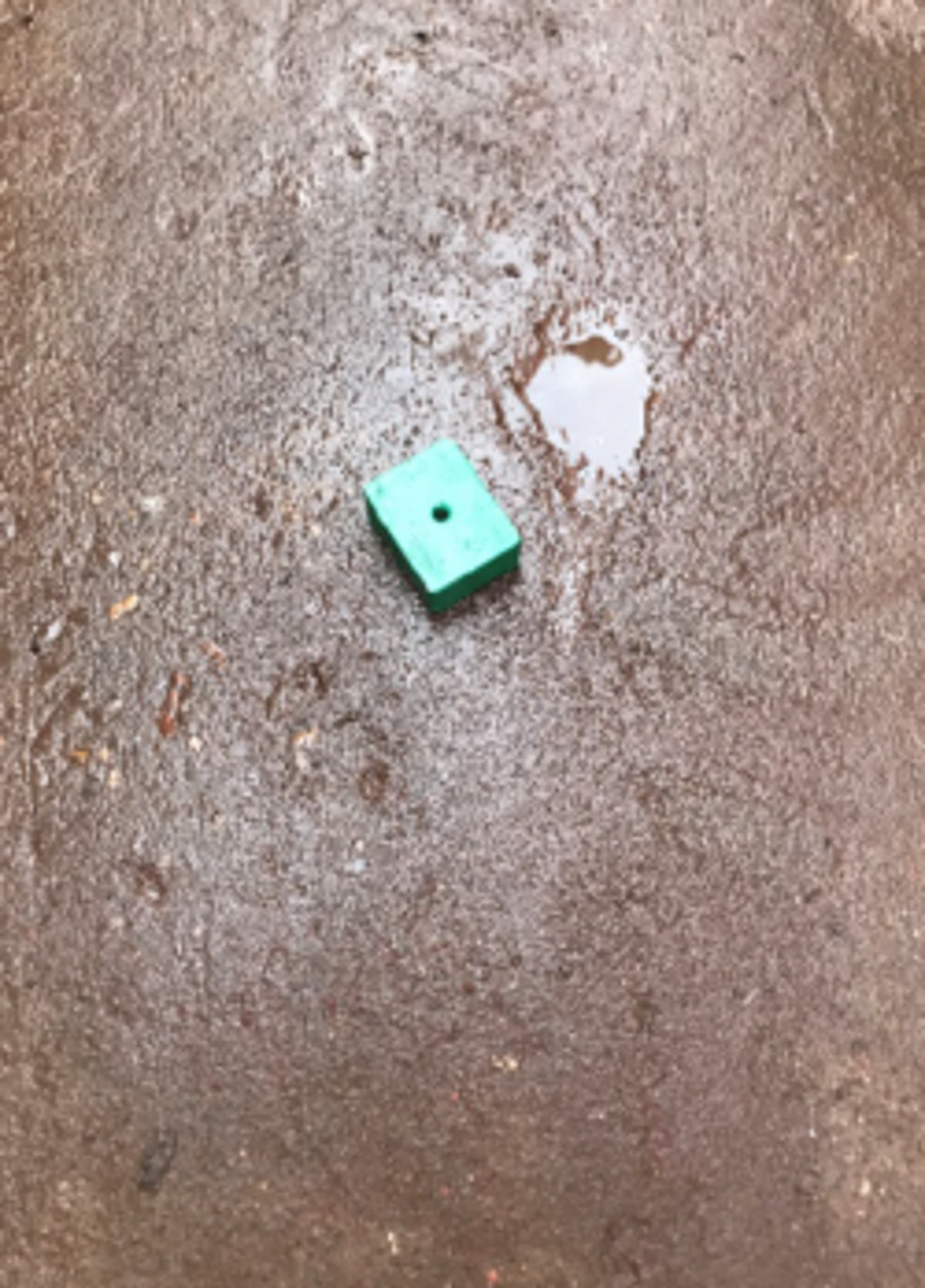 the dropped magnet - note hole for retention eyelet