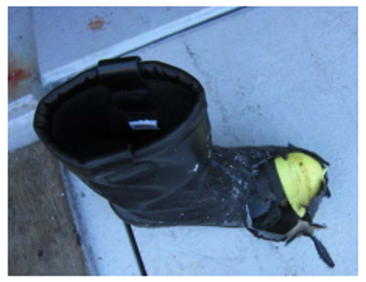 Image7 (1)