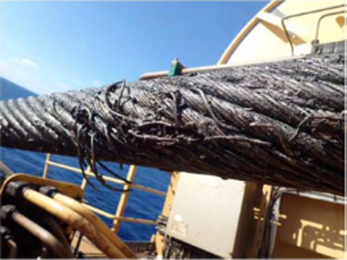 A 70-centimetre length of main crane hoist wire was found to be damaged during an inspection.  