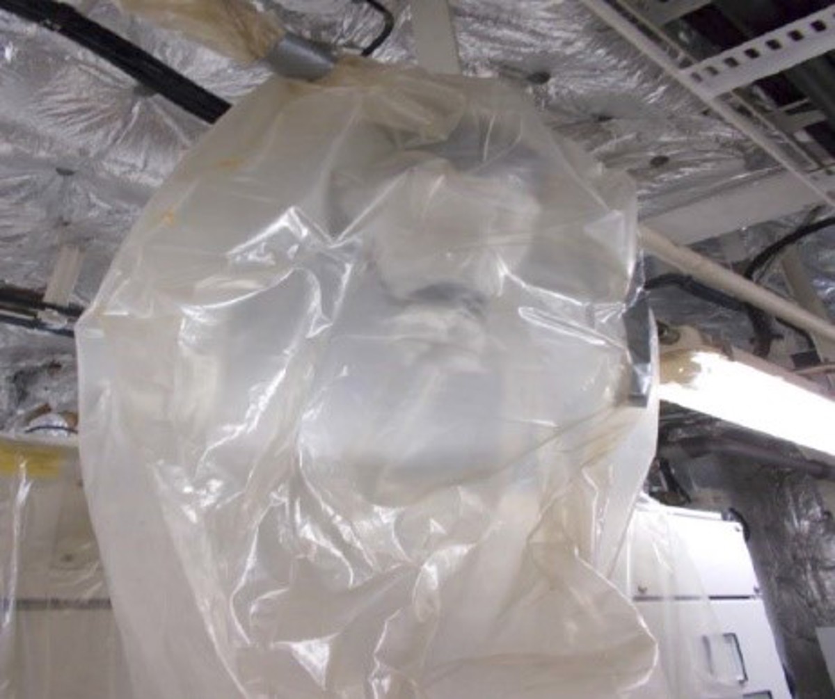Bags placed over nozzle heads