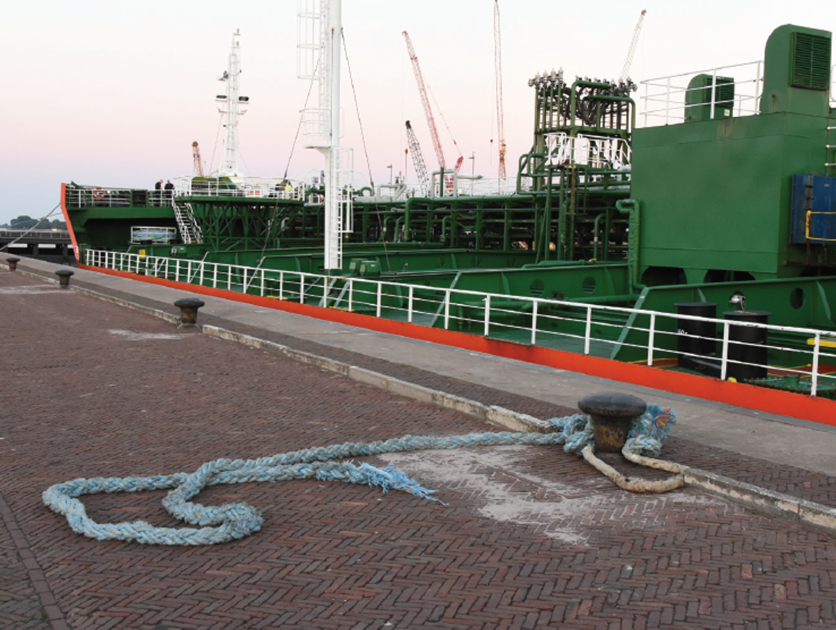 section of mooring line that was connected to the on-board winch recoiled, and struck a crew member, killing him instantly