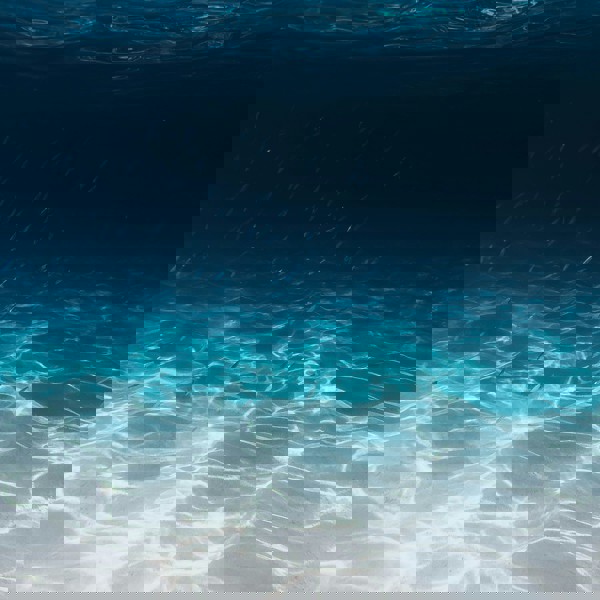Seabed Seabed