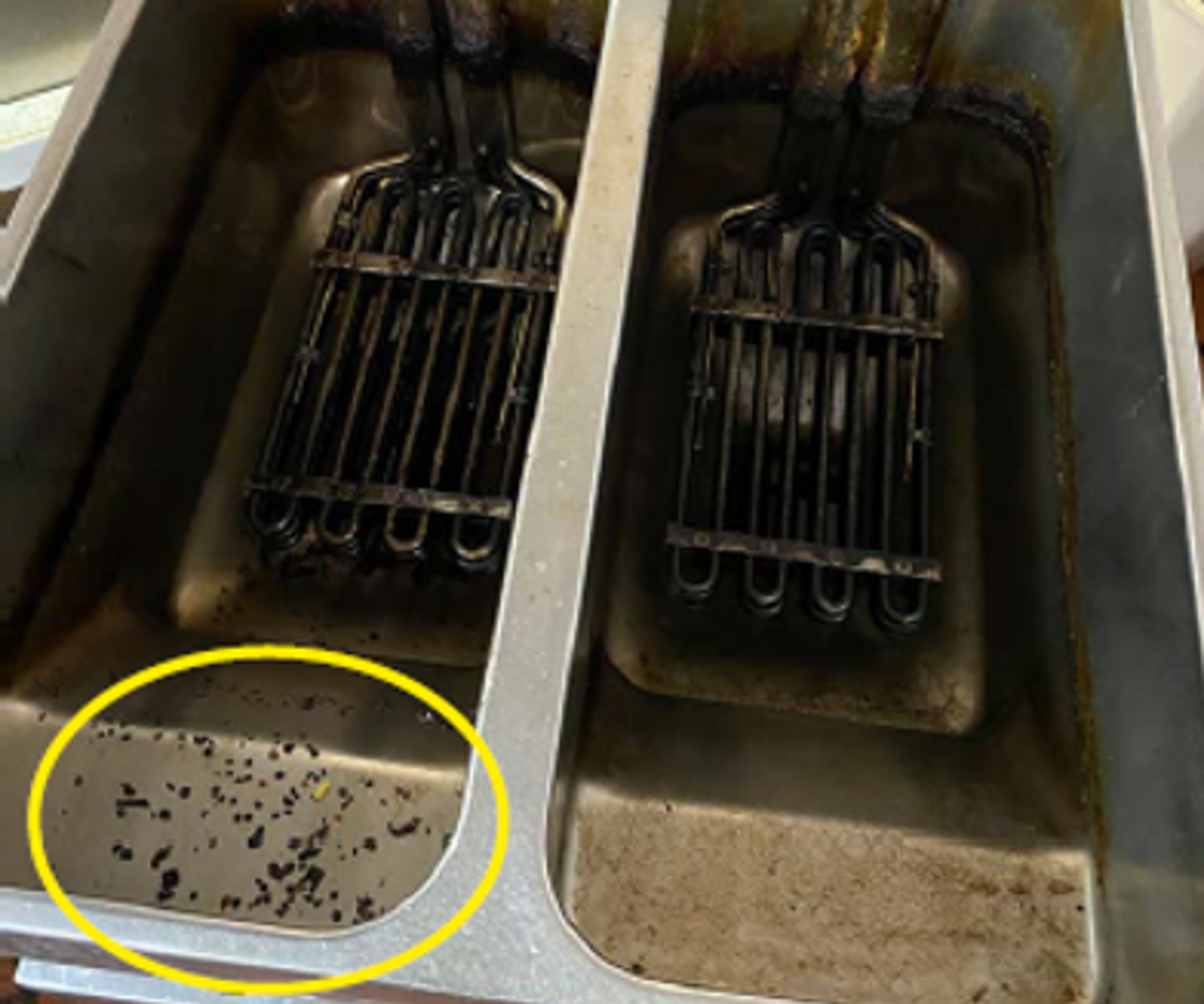 Deep fat fryer