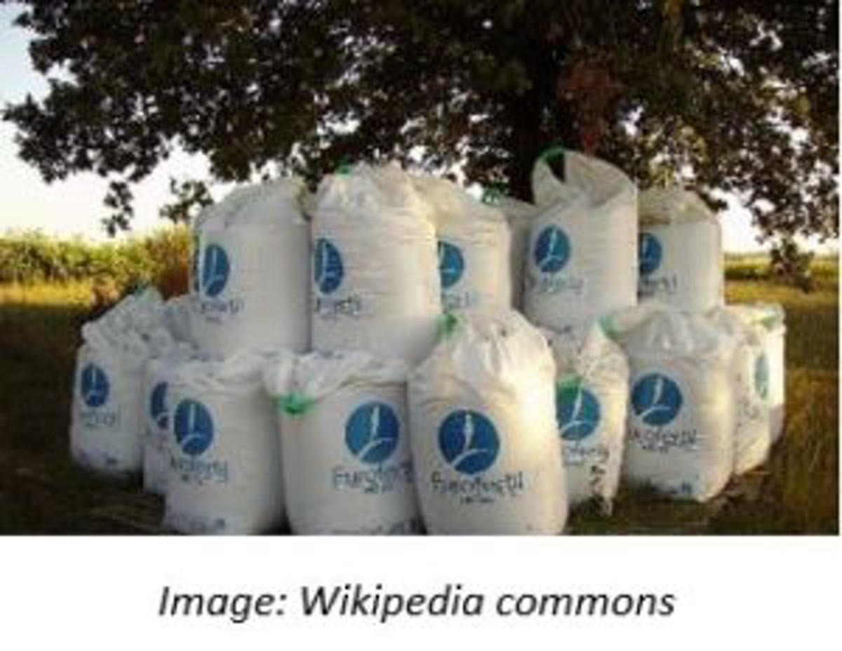 FIBC bags