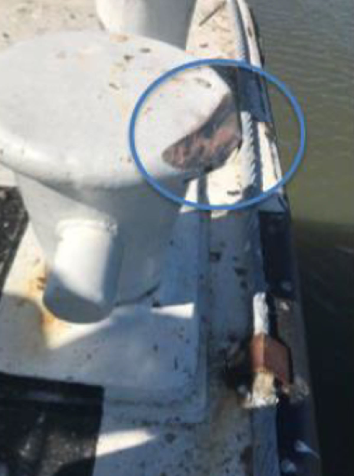 damage to the bollards