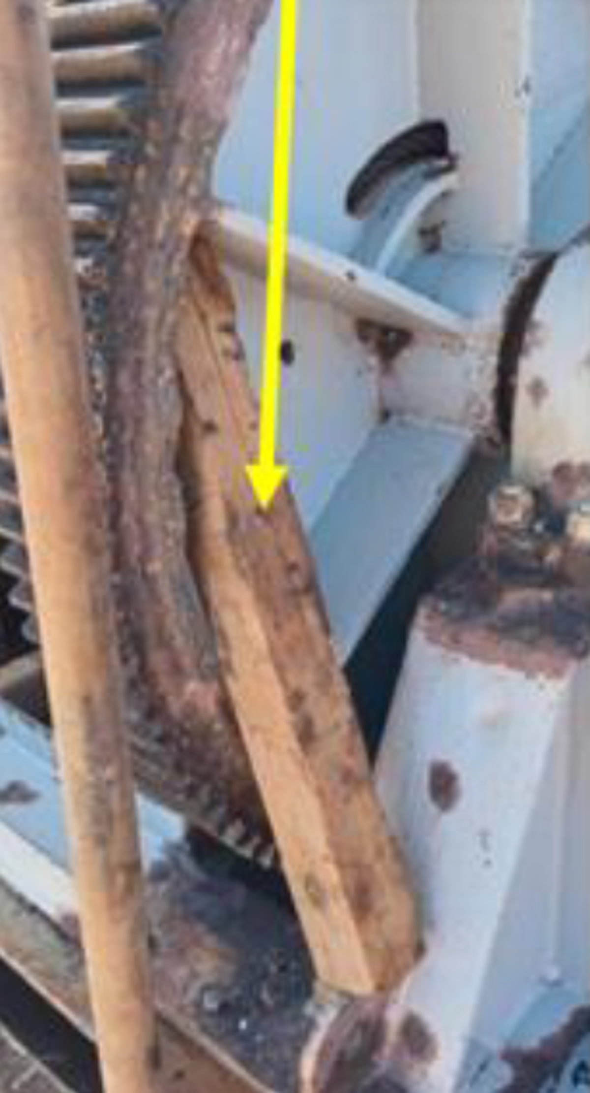 Wooden beam