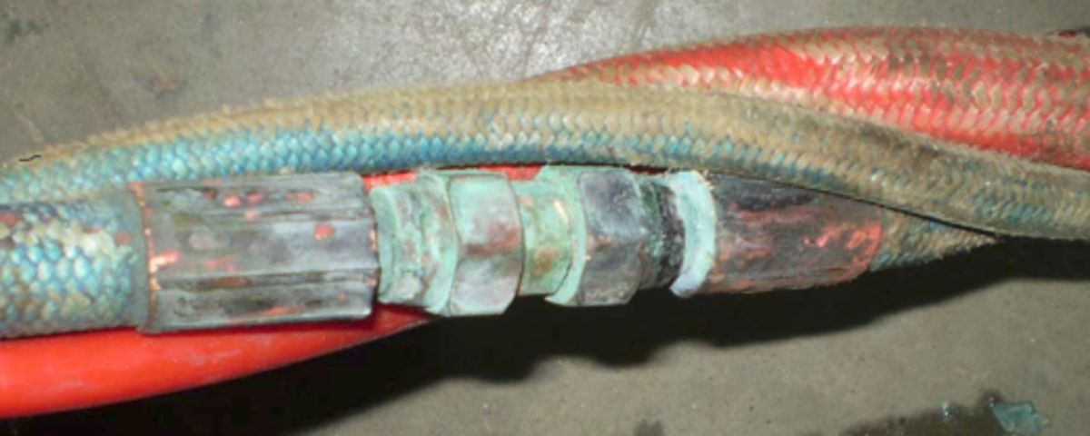 Umbilical