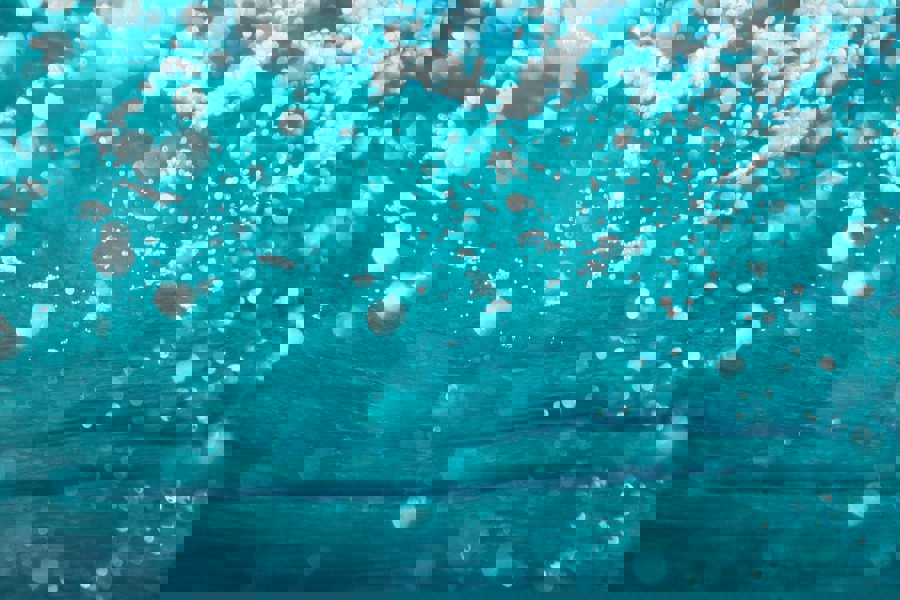 Bravery At Sea Water