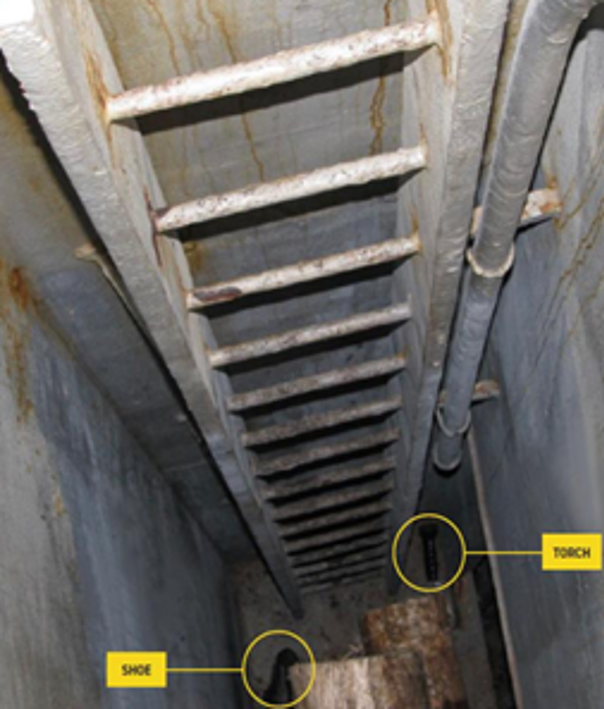 The confined space was a cargo hold that contained logs