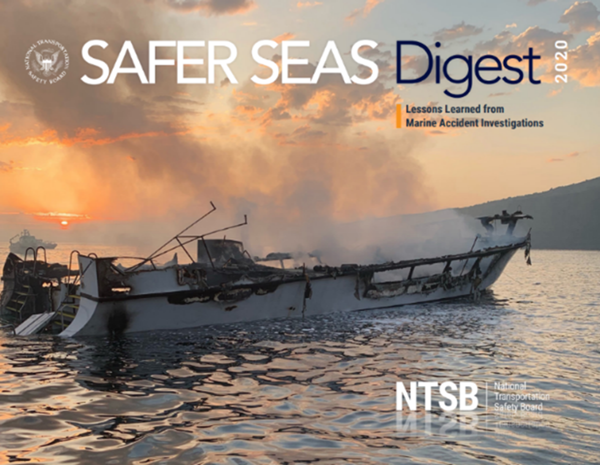 Safer Seas Digest 2020