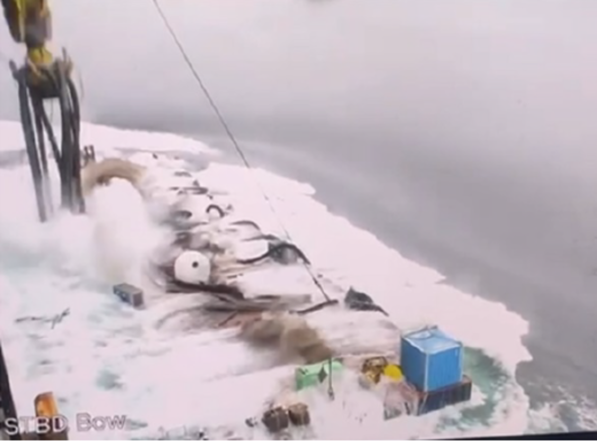 Crane load fell into the water