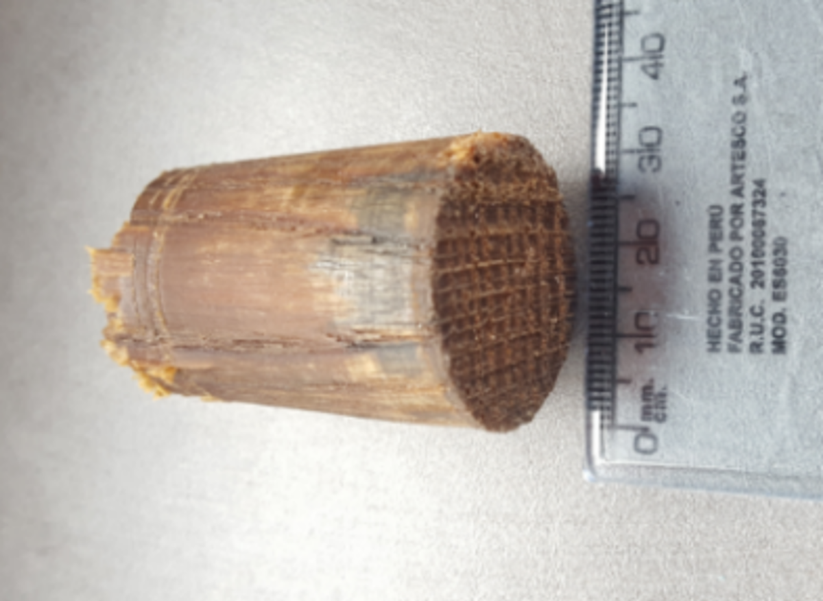 Wooden bung that caused blockage