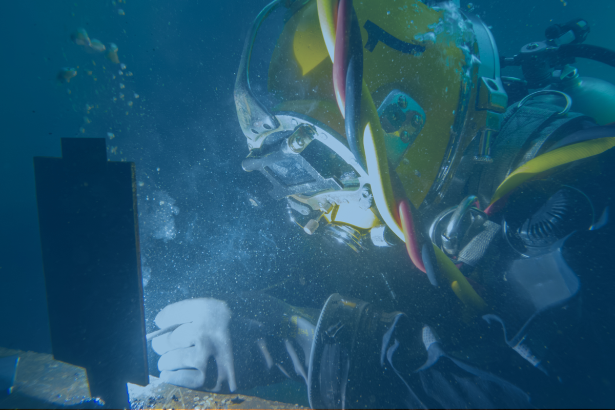 IMCA issues warning over rogue diving schools offering non-existent ...
