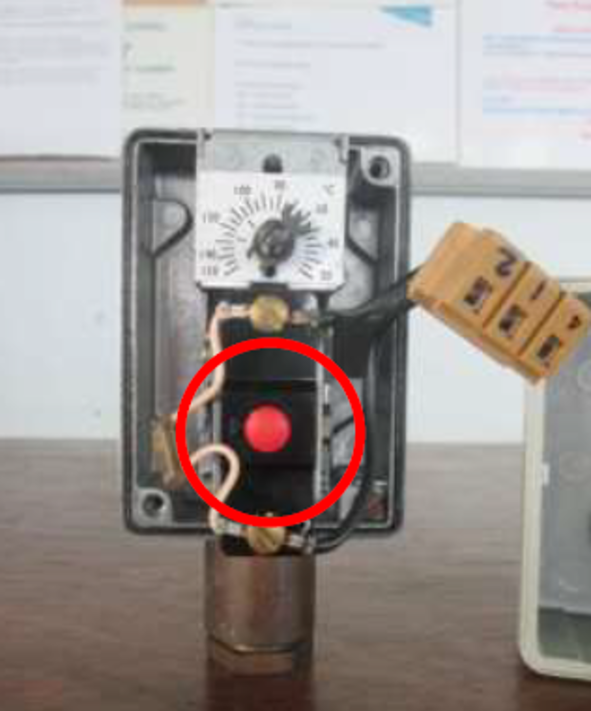 Image4