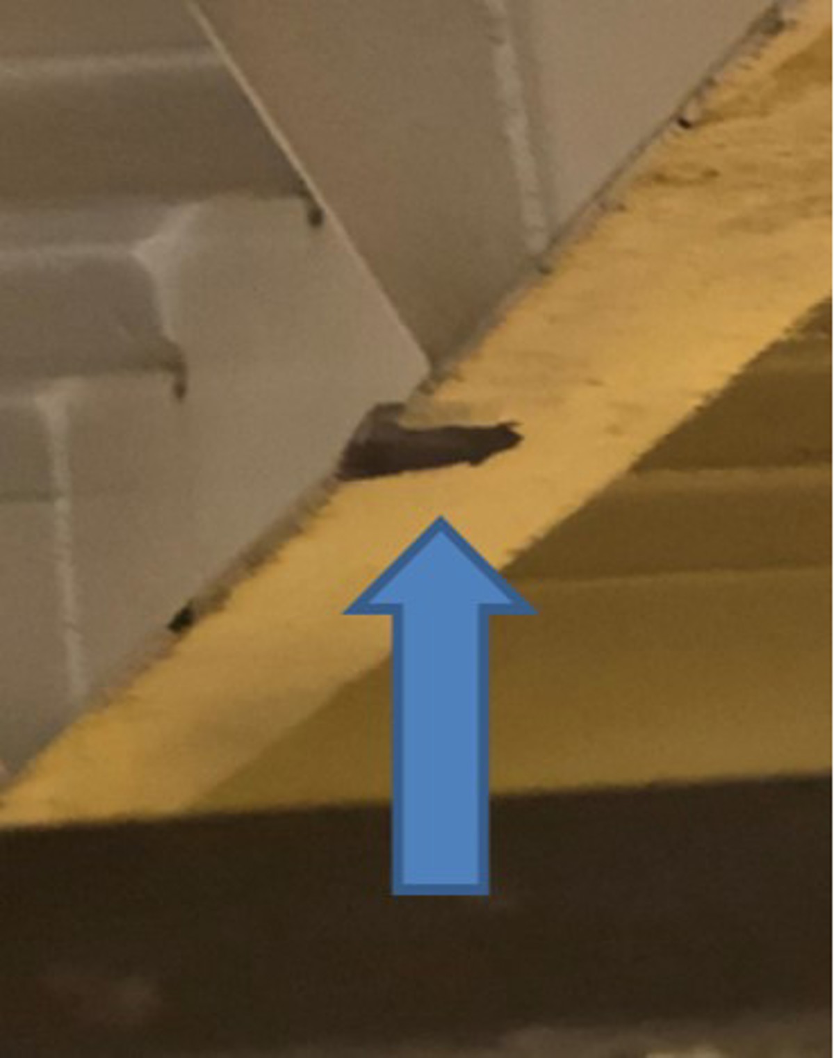 Impact damage from flying chain directly above